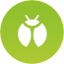 Bug icon